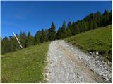 Forni di Sopra - Malga Varmost